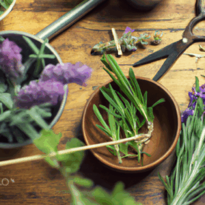 using-herbs-as-backyard-ground-cover.png