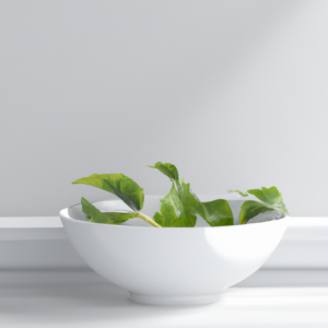 low-maintenance-plants-that-thrive-indoors.png